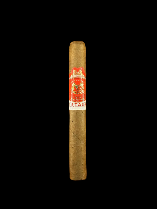 Partagas Cortado Corona (5.5 x 42) – Smooth & Creamy Mild to Medium Smoke
